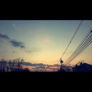 Meet your Posher, Riley